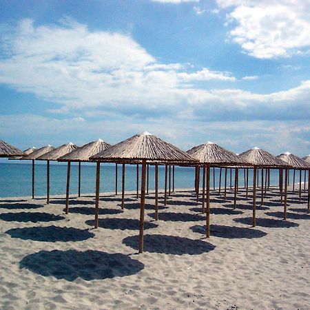 Hotel White Rose Beach Olympiakí Aktí Exteriör bild