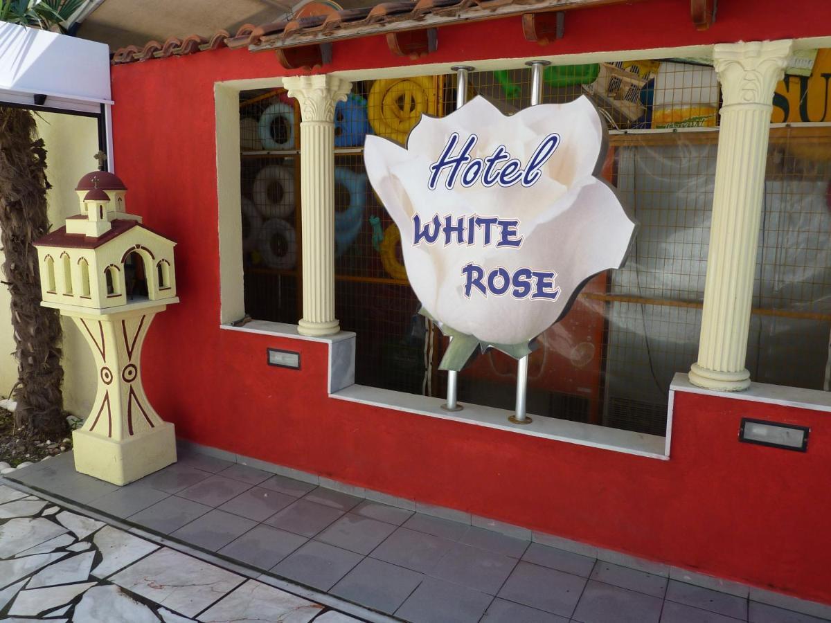 Hotel White Rose Beach Olympiakí Aktí Rum bild